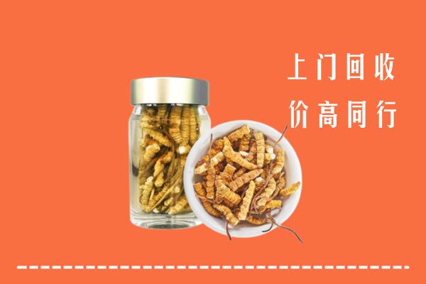 城子河区回收冬虫夏草