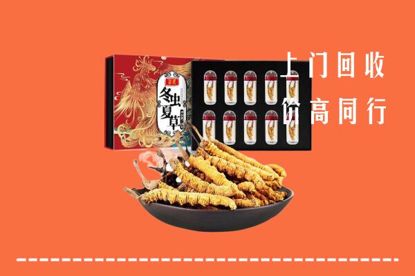 城子河区回收虫草
